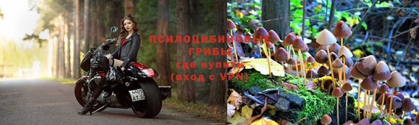дживик Гусев