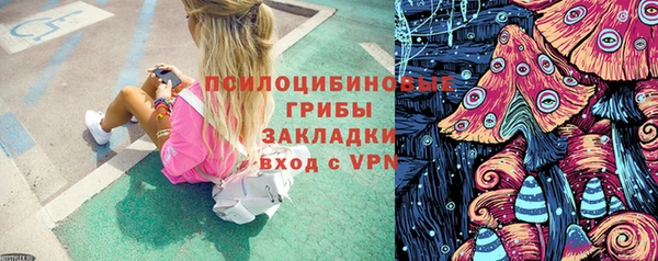 дживик Гусев