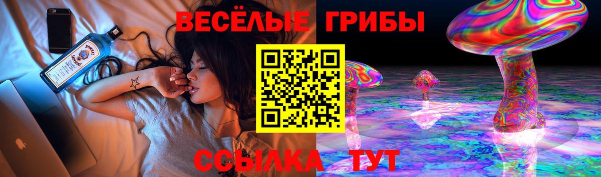 Черкесск  Псилоцибиновые грибы Psilocybe  Вход с VPN 